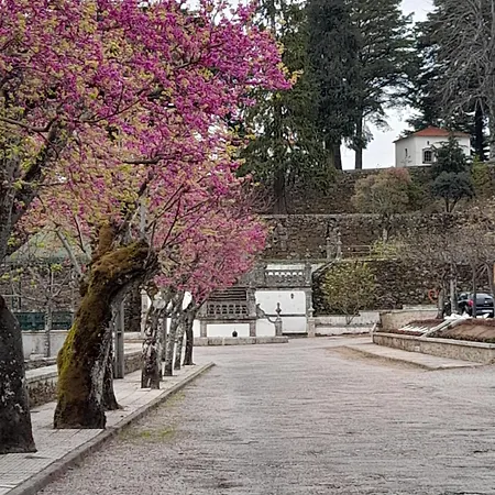 度假居 Casa Do Acor 阿尔德亚达斯