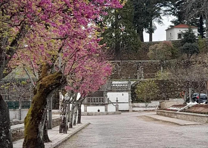 Casa de Férias Casa Do Açôr Aldeia das Dez